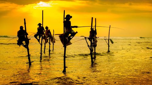 Stilt Fisherman