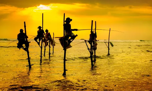 Stilt Fisherman