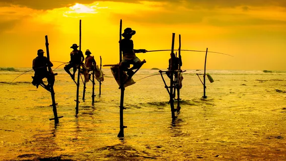 Stilt Fisherman