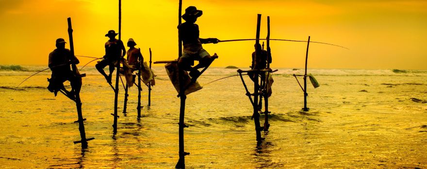 Stilt Fisherman