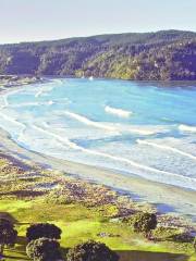 Whangamata Beach