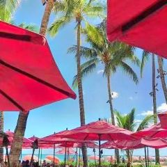 Mai Tai Bar User Photo