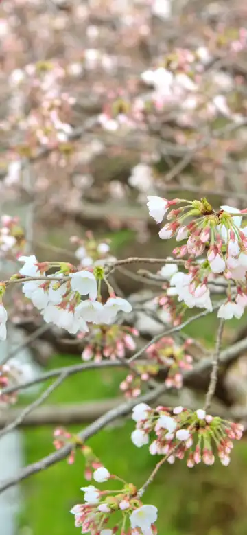 鄰近典農路的酒店