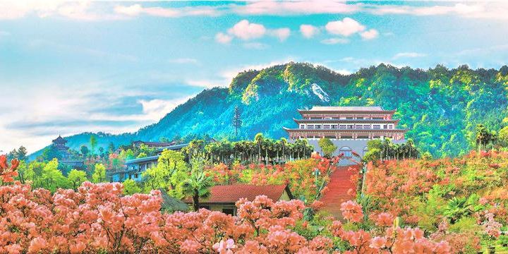 Dabie Mountain Azalea Ecological Cultural Grand View Garden