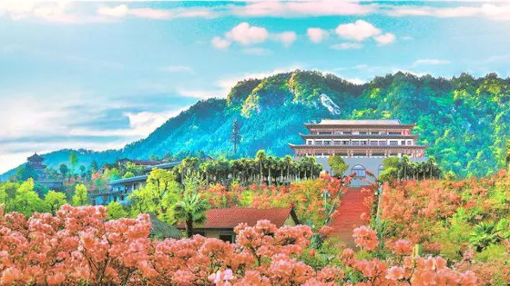 安徽映山紅大觀園景區