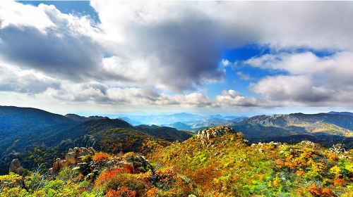 Daheishan Forest Park