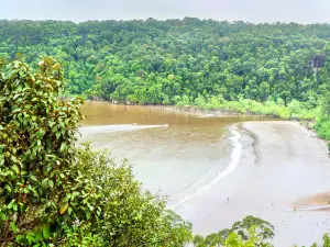 Parque nacional de Bako