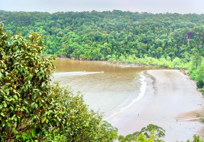 Taman Negara Bako