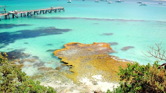 Vivonne Bay Beach