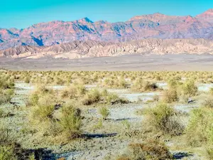 Stovepipe Wells Village