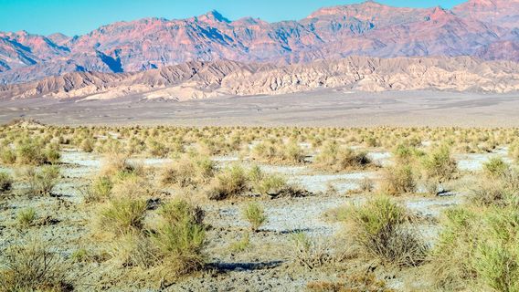 Stovepipe Wells Village Hotel