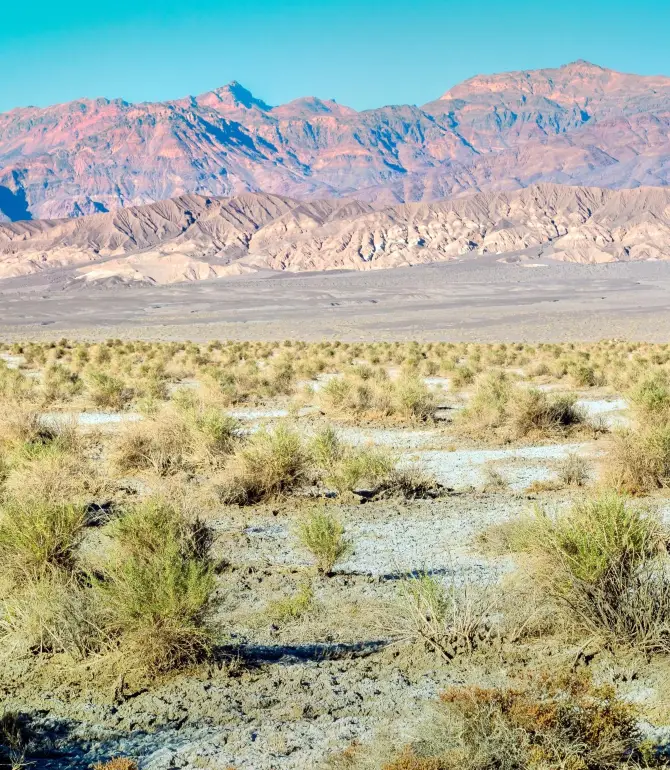 Stovepipe Wells
