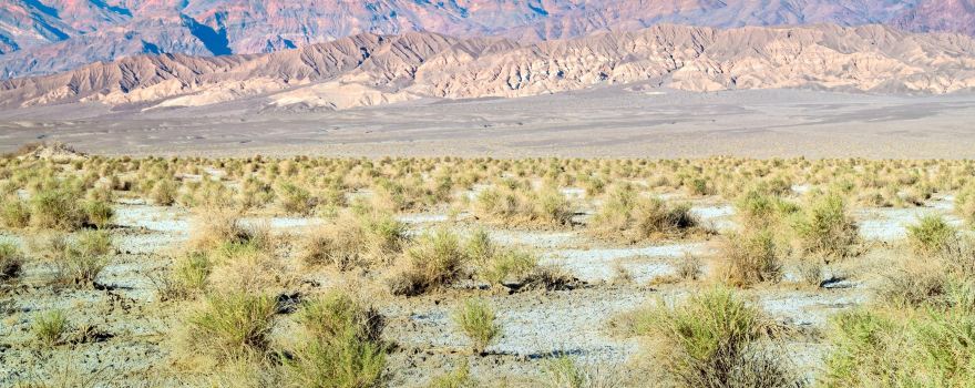 Stovepipe Wells