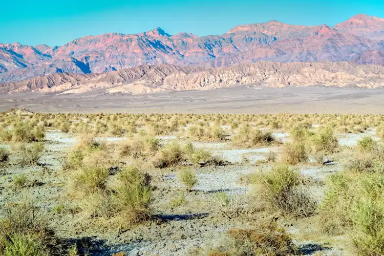 Hotels in Stovepipe Wells