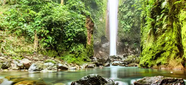 Hotels near Moon Garden