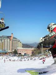 Yangji Pine Ski Resort