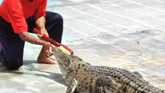 Tuaran Crocodile Farm
