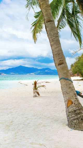 Coron island hopping tour C - Malcapuya Island & sandbar [beach line]