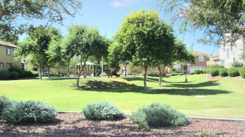 Encinitas Community Park