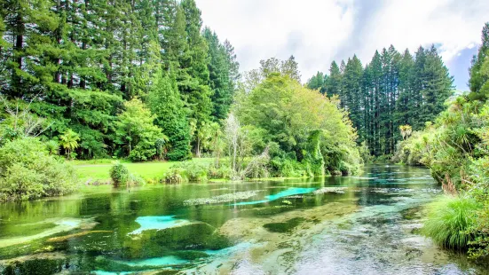 Hamurana Springs