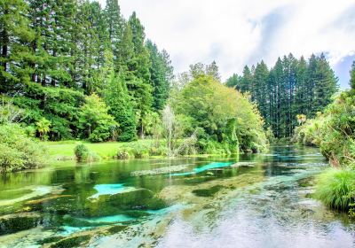 Hamurana Springs