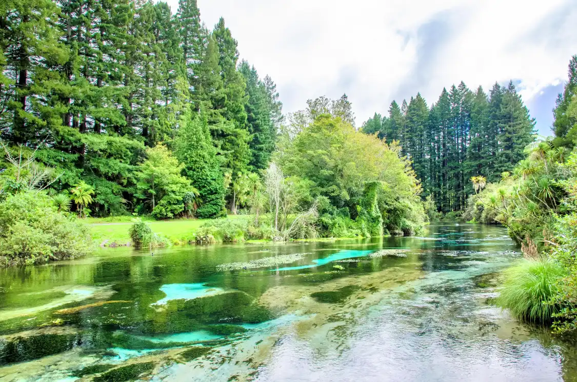 Hotels near Hamurana Springs Nature Park & Golf Course