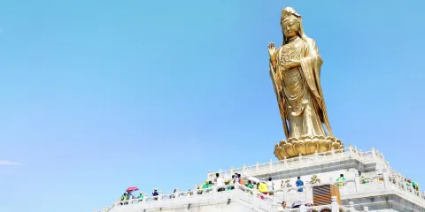 舟山普陀山風景區一日遊門票午餐、來回船票、一價全含、舒心純玩