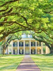 Oak Alley Plantation