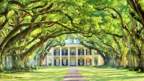 Oak Alley Plantation