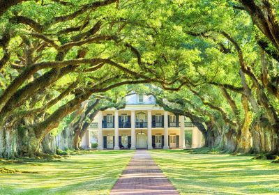 Oak Alley Plantation