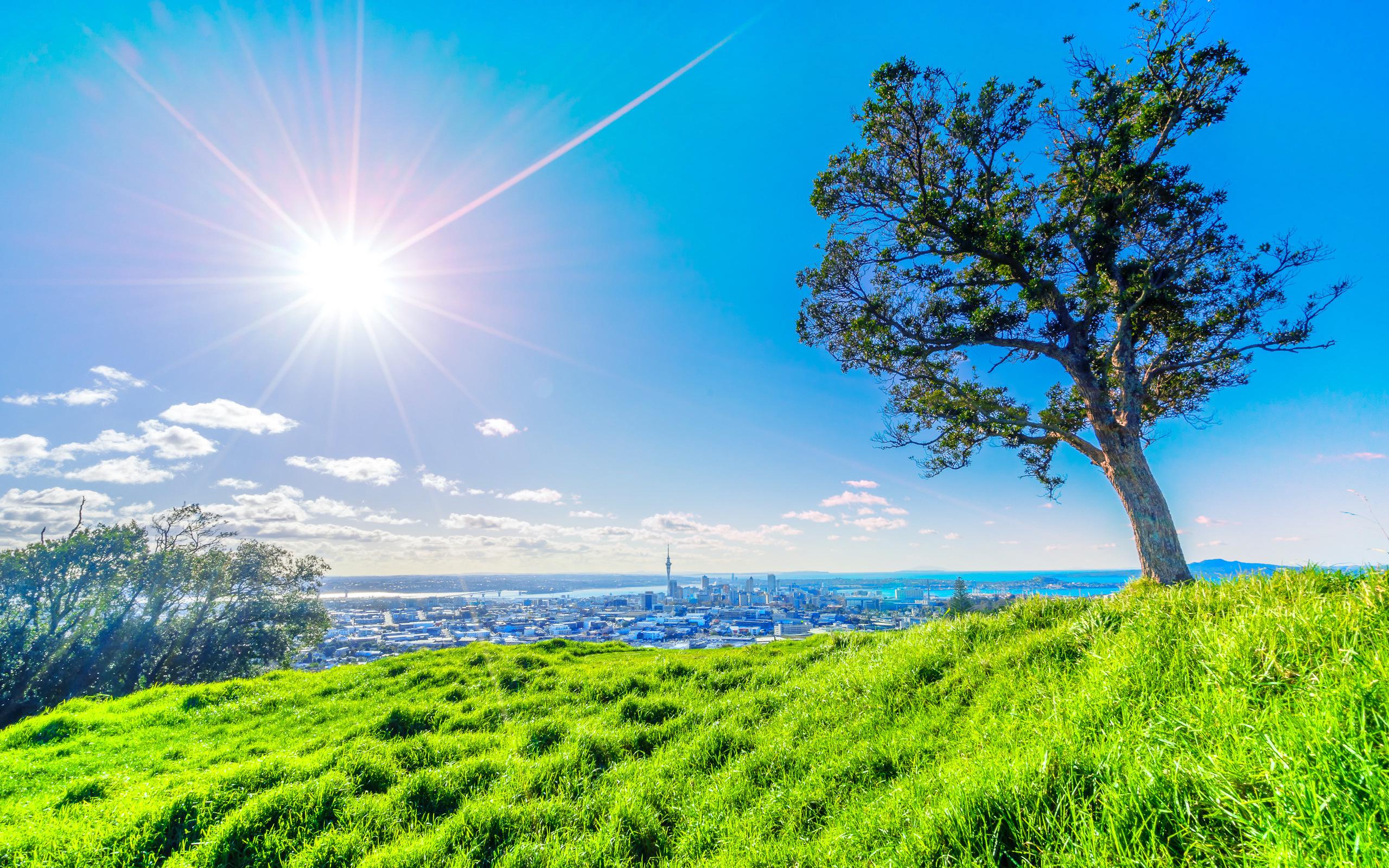 Mount Eden