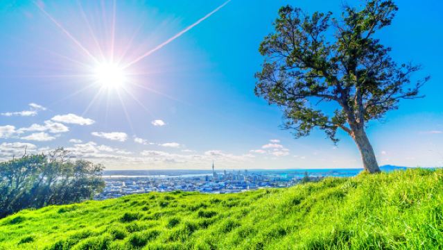 ニュージーランド マウント・イーデン+スカイタワー+クイーン通り+ワンツリーヒル+ププケ湖【行程調整可能】