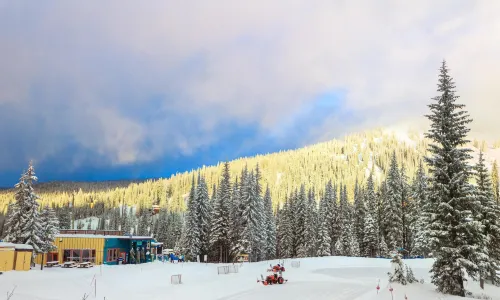銀星滑雪度假村