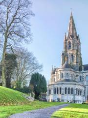 Saint Fin Barre's Cathedral