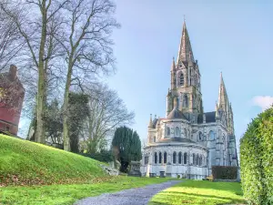 Saint Fin Barre's Cathedral