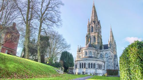 Saint Fin Barre's Cathedral