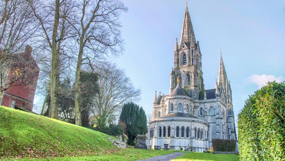 Cork