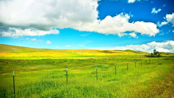 Canyon at Palace Fine Art