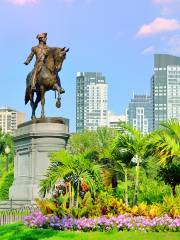 Boston Public Garden