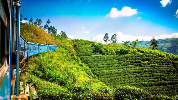 Distrik Nuwara Eliya