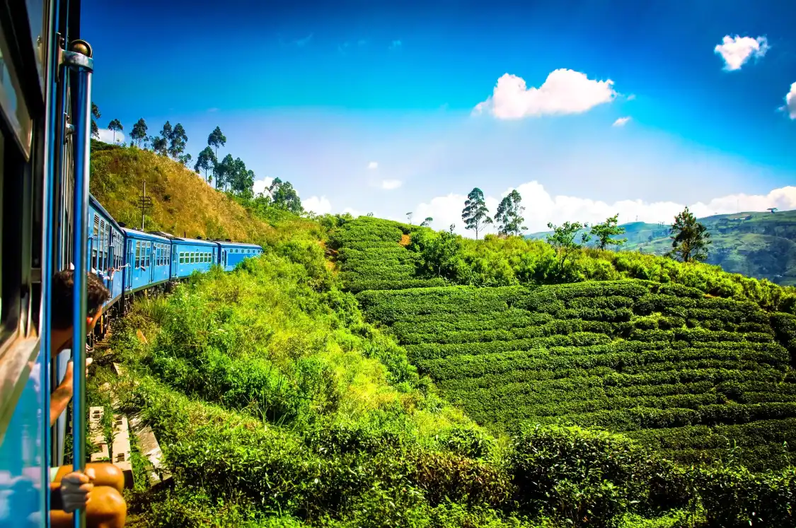 Hotels near Nanu Oya Railway Station