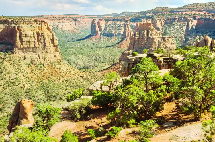 Mesa County