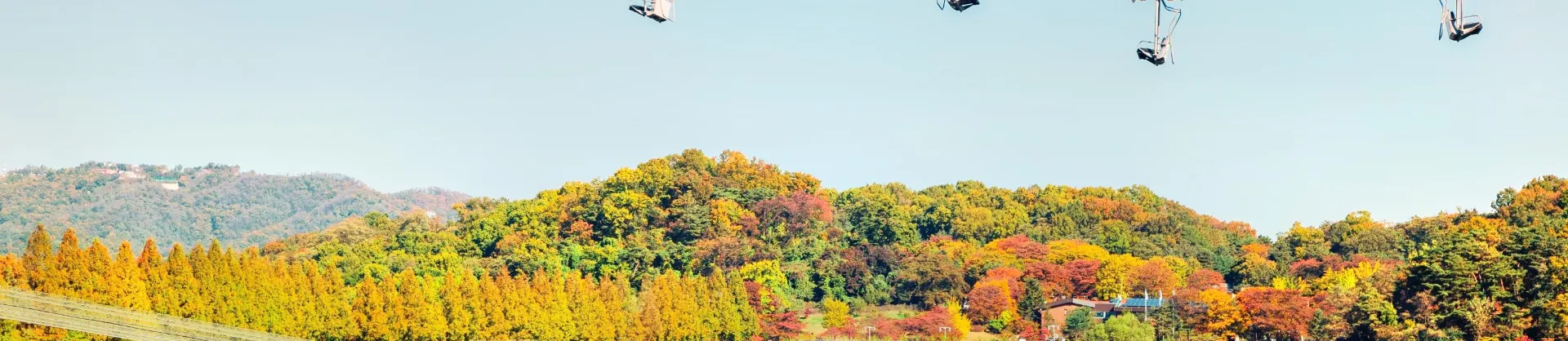 가족 친화
