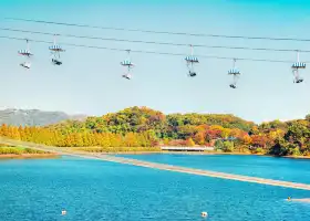 首爾大公園