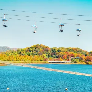 서울대공원