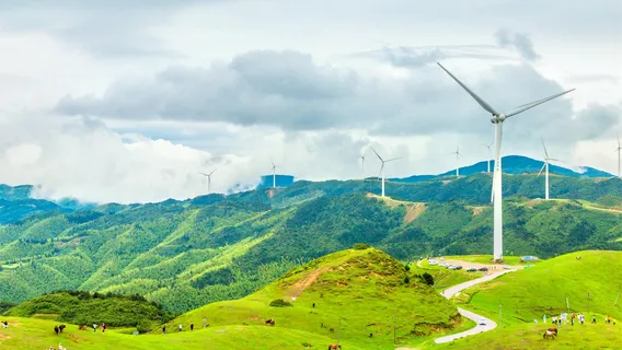 Yangtianhu Grassland