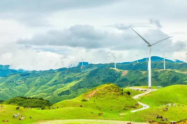 Yangtianhu Grassland