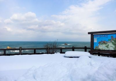 浦富海岸