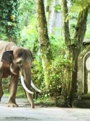 峇里島大象公園