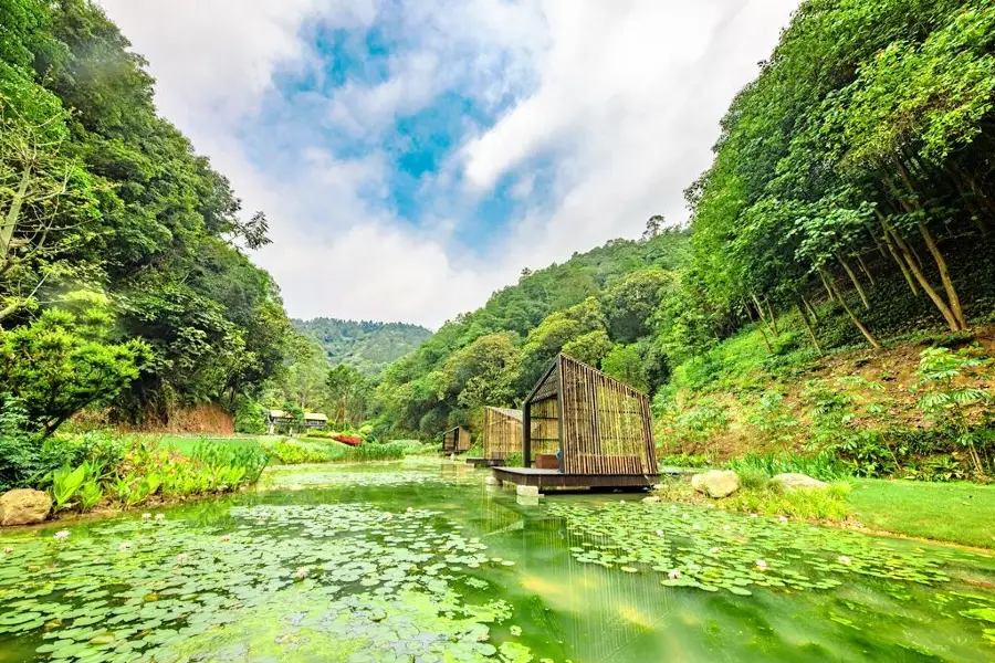 高峰森林公園